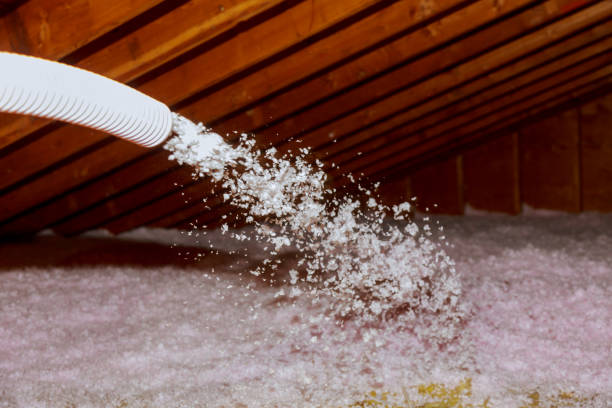 Best Professional Insulation Contractor  in Osseo, WI