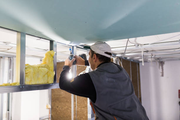 Best Insulation Inspection Services  in Osseo, WI