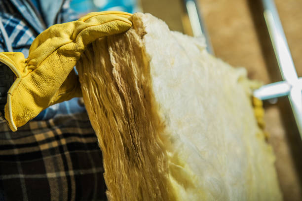 Best Best Insulation Companies  in Osseo, WI