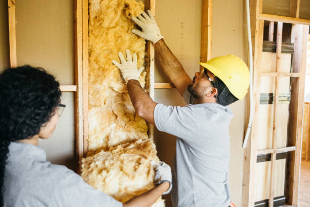 Best Local Insulation Services  in Osseo, WI