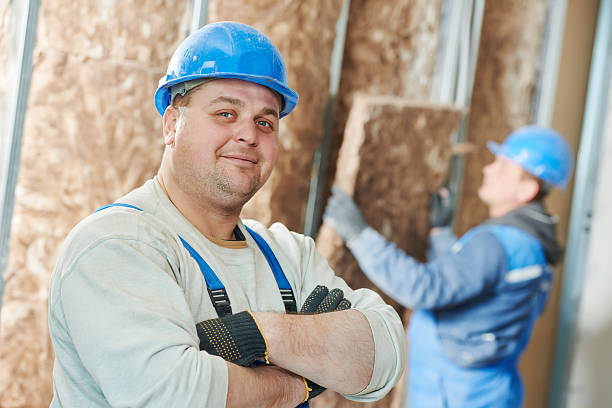 Best Wall Insulation Contractor  in Osseo, WI